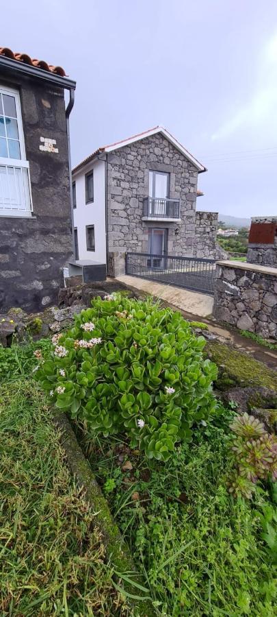 Casa Do Antonio Julio ξενώνας São Roque do Pico Εξωτερικό φωτογραφία